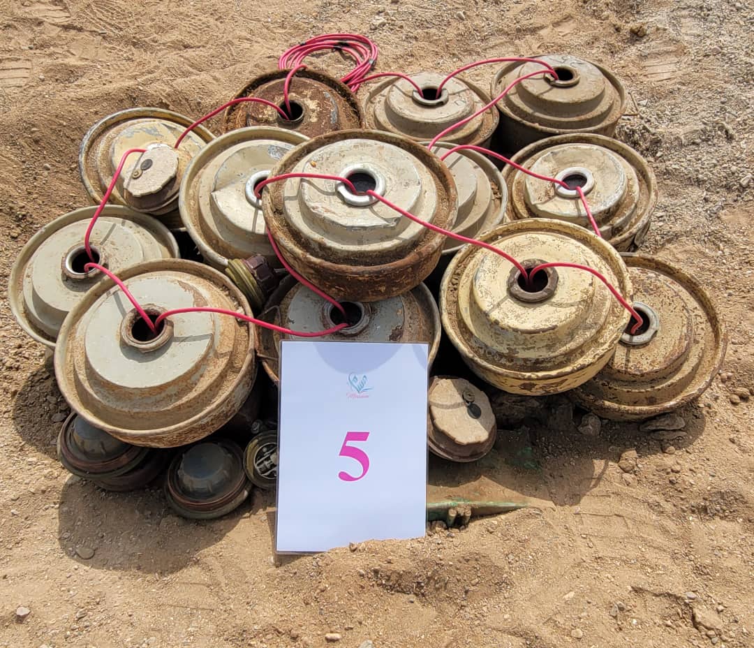 Saudi-led Project Dismantles 772 Mines and Explosives in Bab el-Mandeb, Threatening Fishermen