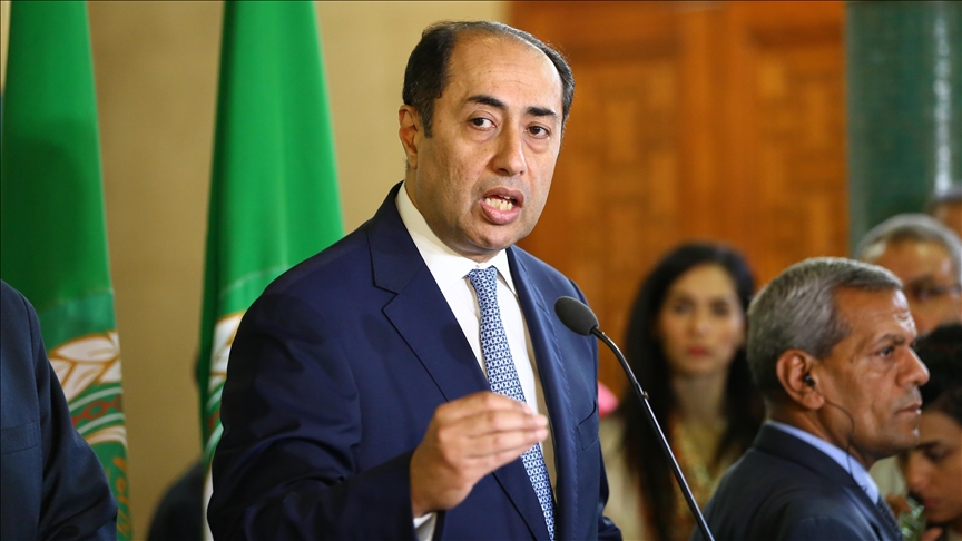 Assistant Secretary-General of the League of Arab States Hossam Zaki (Anatolia)