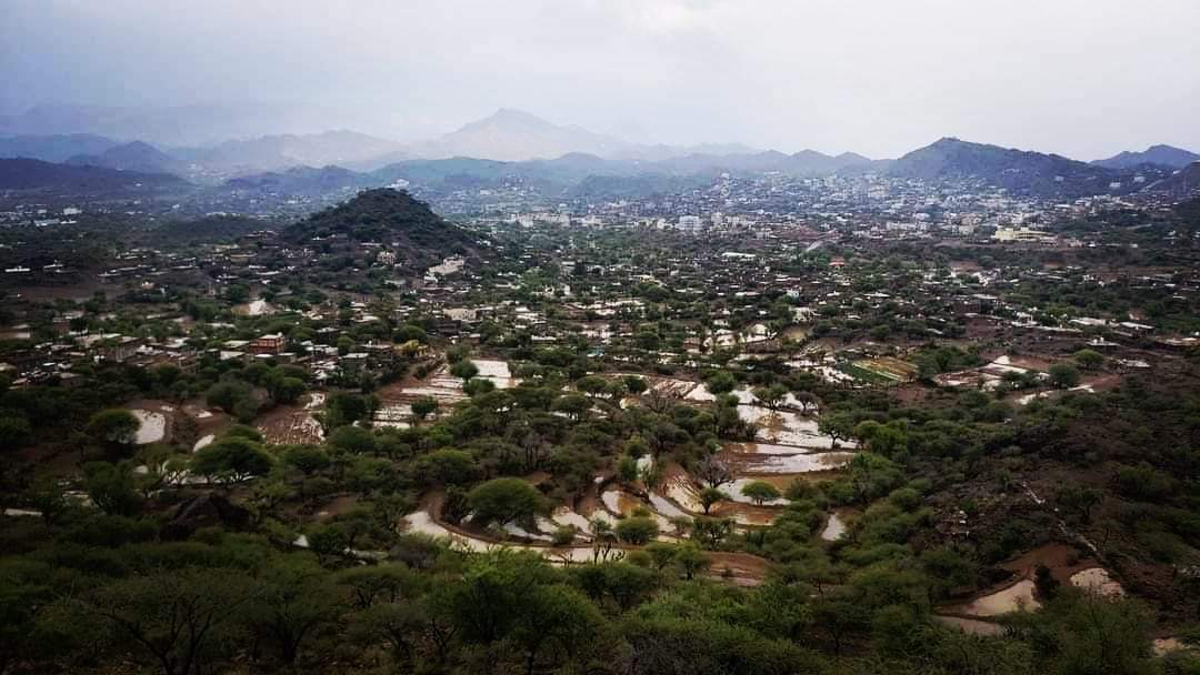 Heavy rains witnessed in various areas in Al-Dhalea, south of Yemen, June 29, 2024 - Pran Press