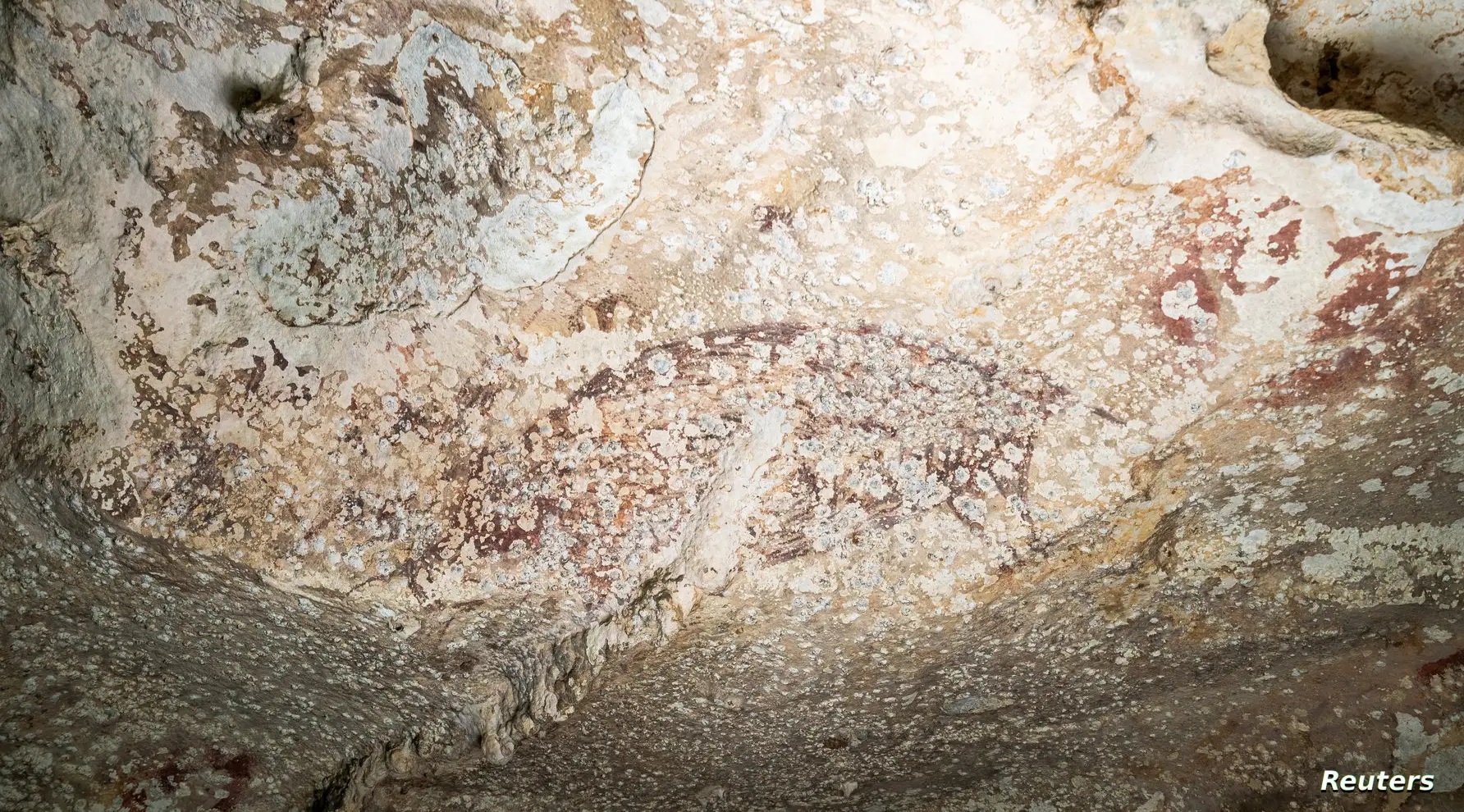 Ceiling of a cave on Solawesi Island - Reuters