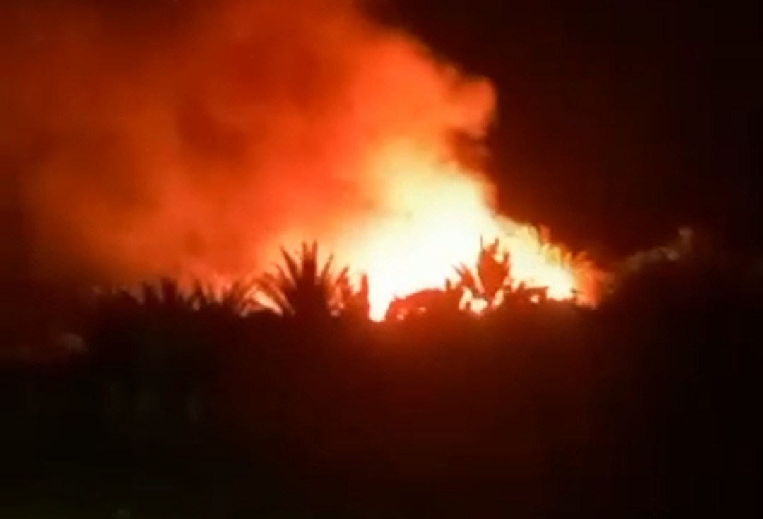 Massive Fire Engulfs Palm Plantation on Socotra Island, Yemen