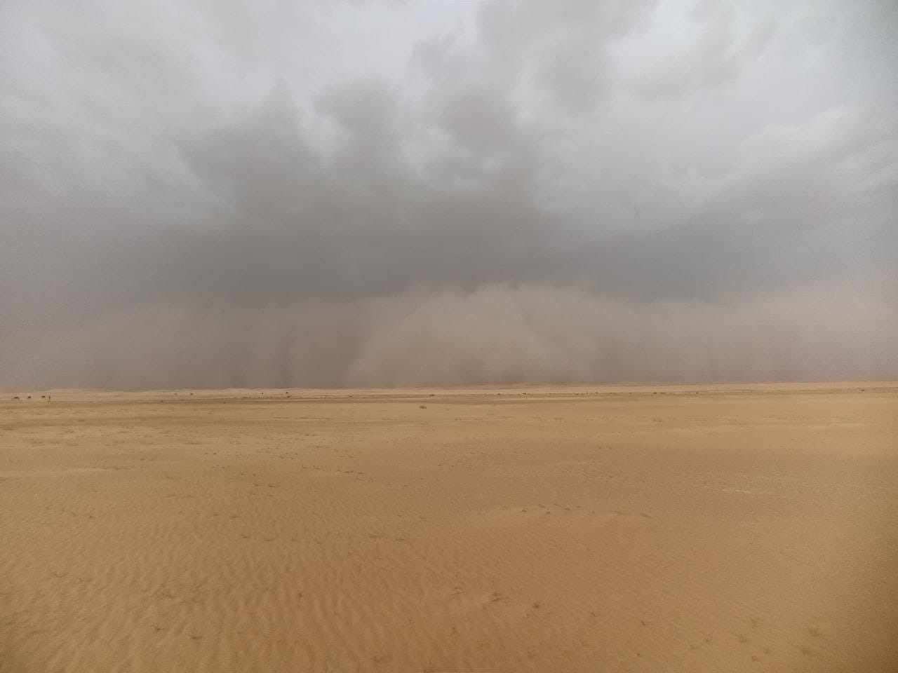 Dust Storm Engulfs Four Yemeni Governorates, Impairing Visibility