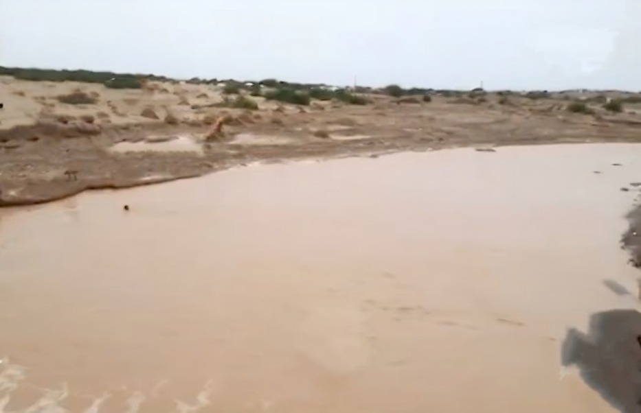 Two senior officers in the government forces and two soldiers who were swept away by Hodeidah floods in the south of the governorate (names)