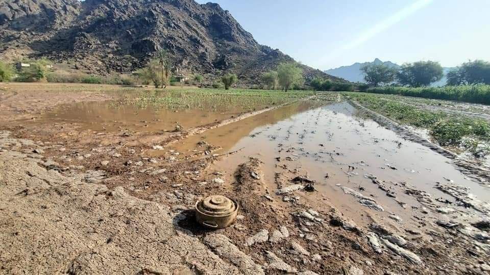 Two Children Injured by Landmine in Hodeidah