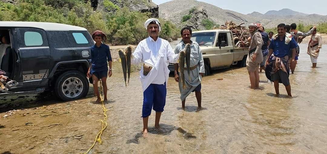 Fishing in a wide area coming from Marib Dam