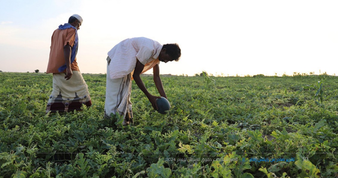 Houthis lead violations against farmers and shepherds