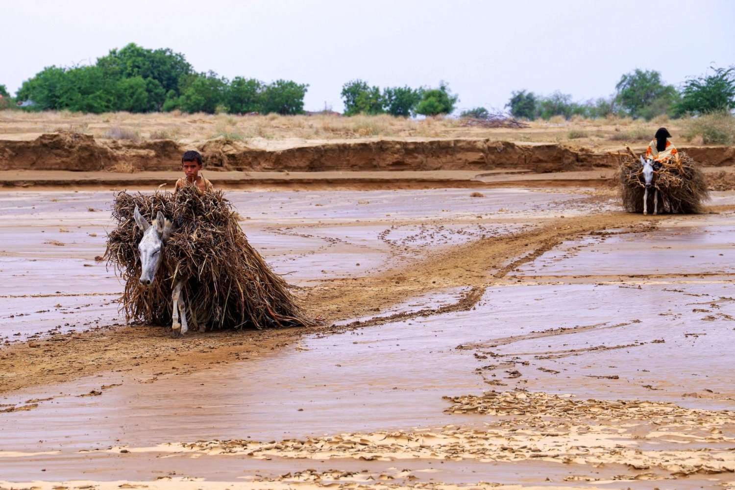 UN Reports Severe Damage to Yemen's Agriculture Sector Following Floods