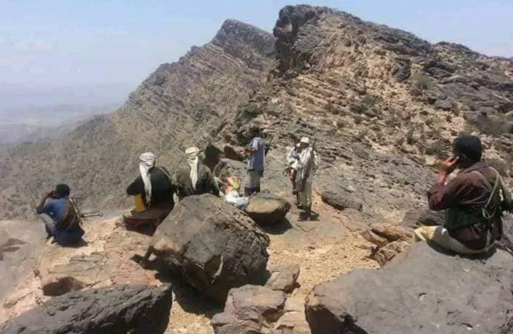 Armed Clashes in Al-Wazi'ya, Taiz Cease Between Tribal Militants and "Tariq Saleh" Forces