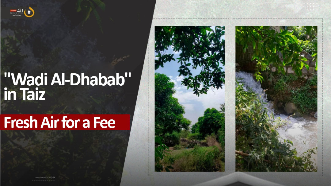 "Wadi Al-Dhabab" in Taiz: Fresh Air for a Fee