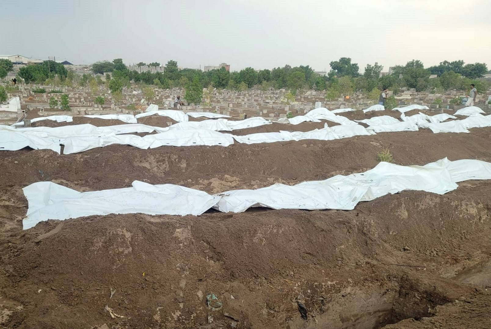 Mass graves from a previous burial (Houthi media)