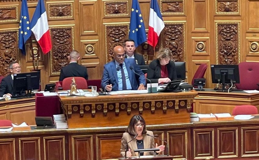 French Senate Passes Resolution Condemning Houthis; Yemeni Government Calls It "Significant Step"