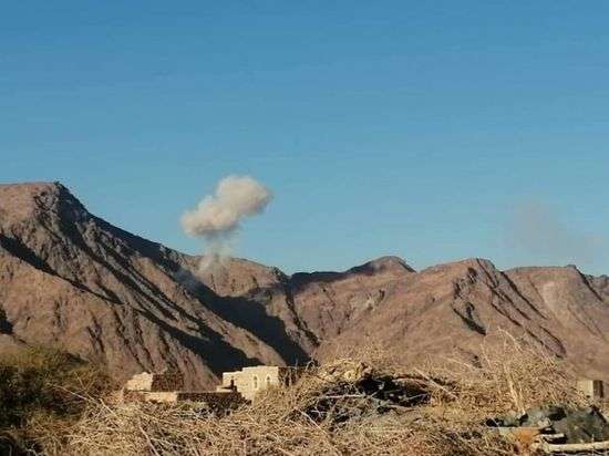 Houthi Landmine Kills 22 Sheep South of Marib